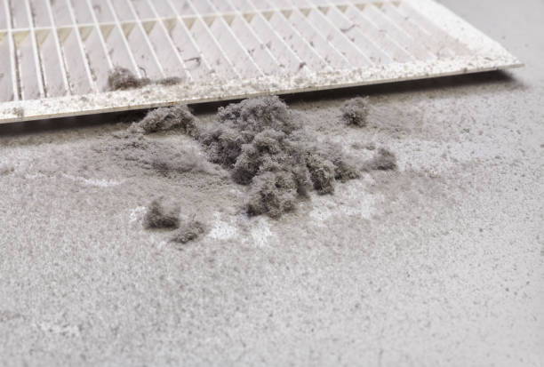 Best Commercial Air Duct Cleaning  in Limestone Creek, FL