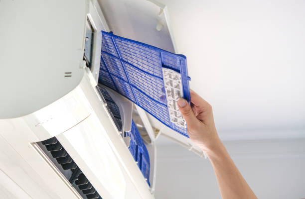 Best Air Duct Cleaning Near Me  in Limestone Creek, FL
